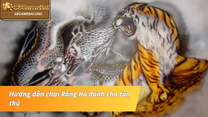 Hướng dẫn tham gia Rồng hổ đại chiến chi tiết