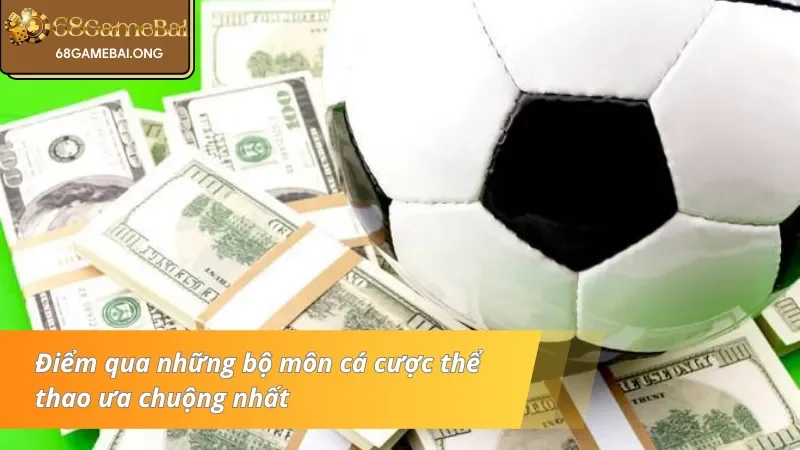 Các loại hình thể thao đỉnh cao cho bet thủ 